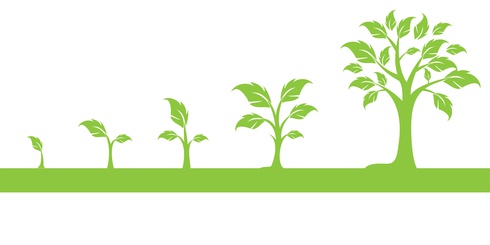 Cuenta para empresa o menor de edad